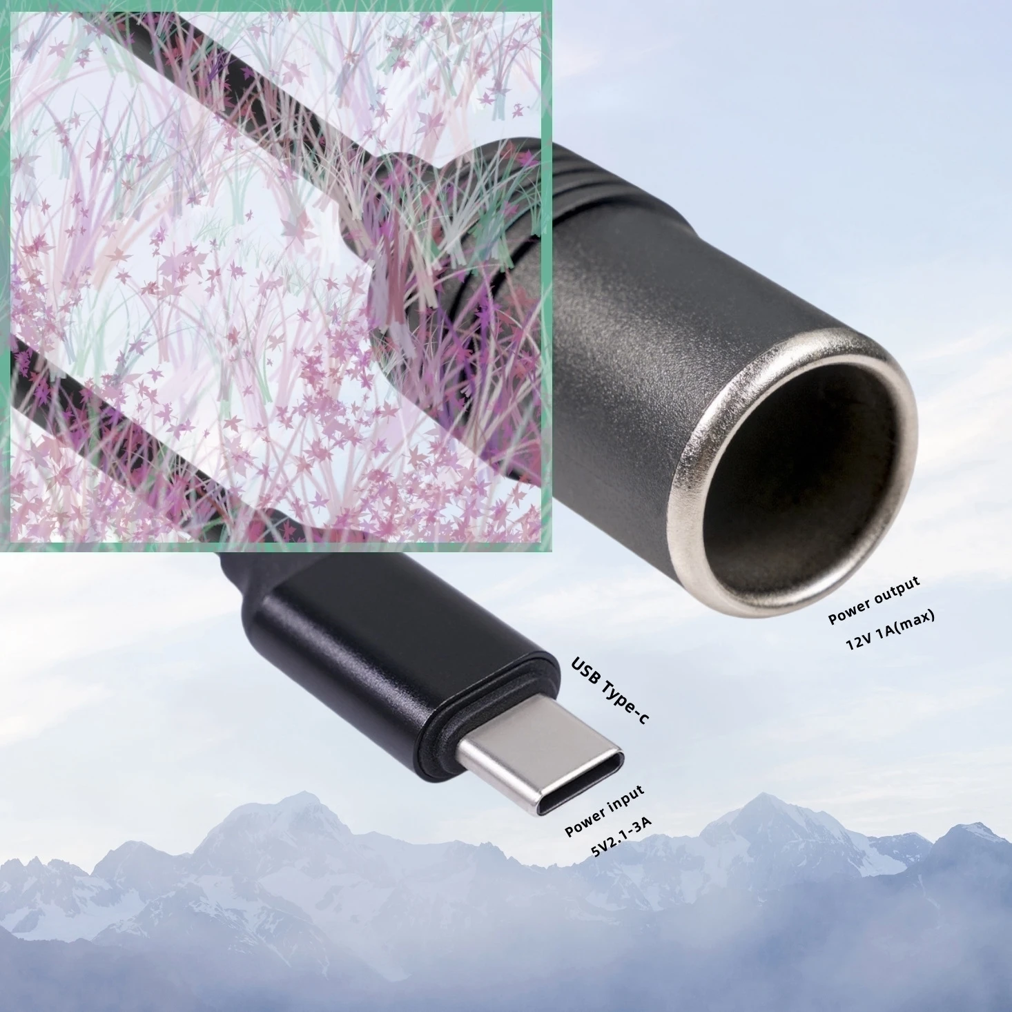 Type C 5V To 12V Ca…