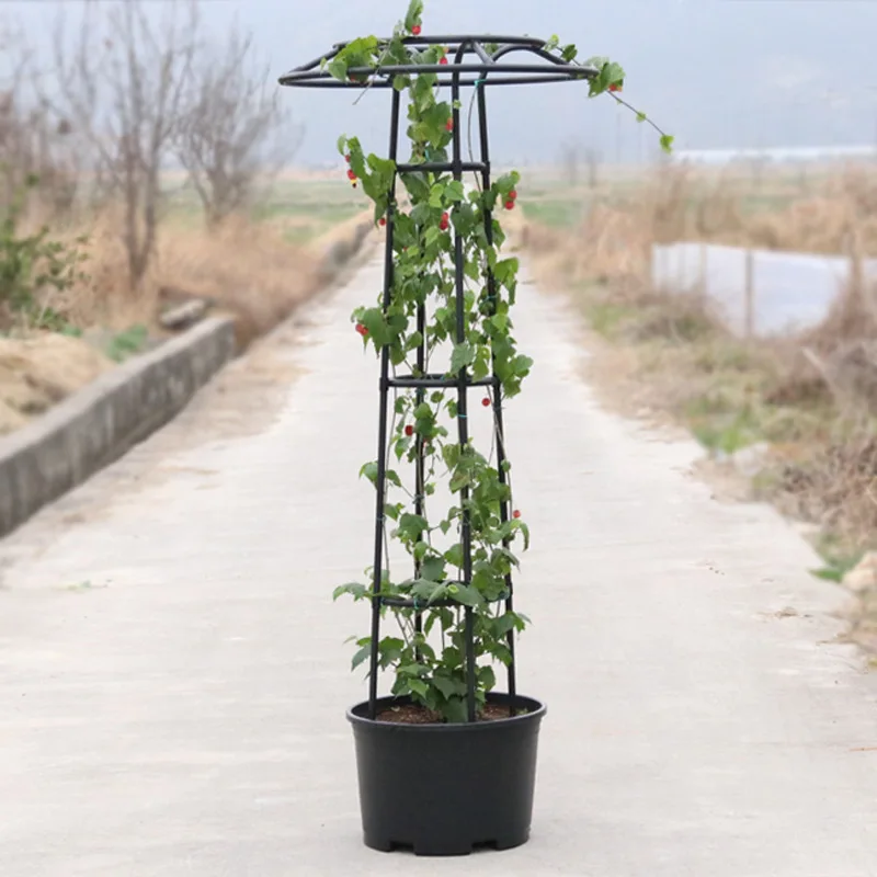 

Garden Umbrella-Shaped Flower Stand Rose Climbing Trellis Plant Support for Roses and Clematis Garden Support