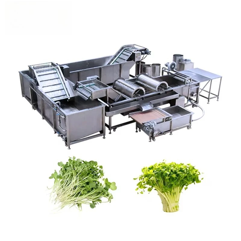 Lavadora de verduras de brotes de frijol, línea de procesamiento de limpieza de verduras totalmente automática Industrial a precio de fábrica