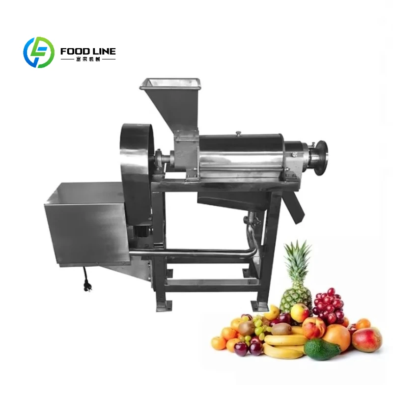 Commercial Juicer Make Pineapple Press Tomato Mango Extract Pulp Pulper Coconut Milk Fruit Juice Extractor Machine Customized