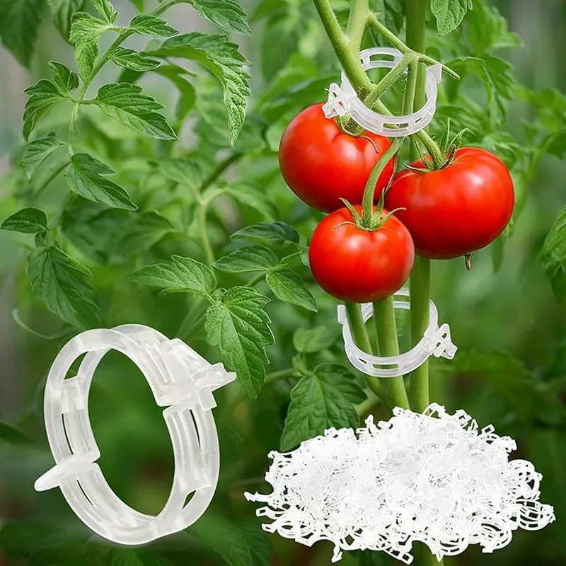 

29Pcs Reusable Plant Support Clips, Sturdy Durable, Secure Tomato Eggplant Pepper Grape Stems