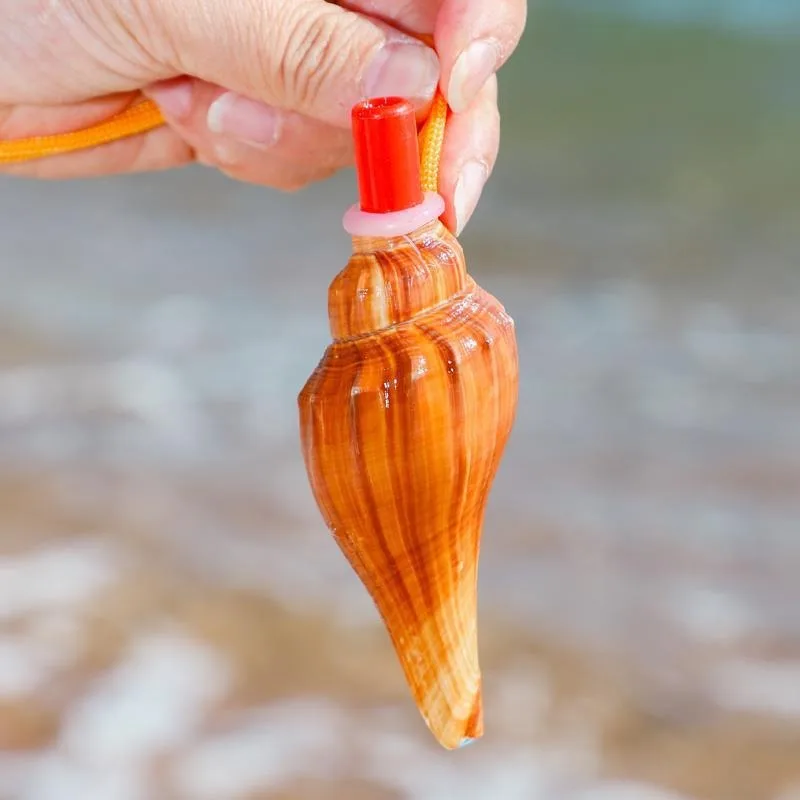 10Pcs Natural Conch Whistle Hand‑made Seashell Wind Instrument Kids Party Toy Portable Shell Ornament Holiday Gift