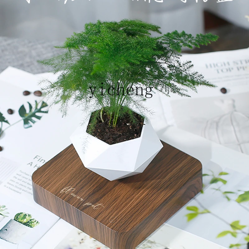 Xl Anti-Gravity Magnetic Suspension Flowerpot Desk Decoration Mood Stable Plant Decorations