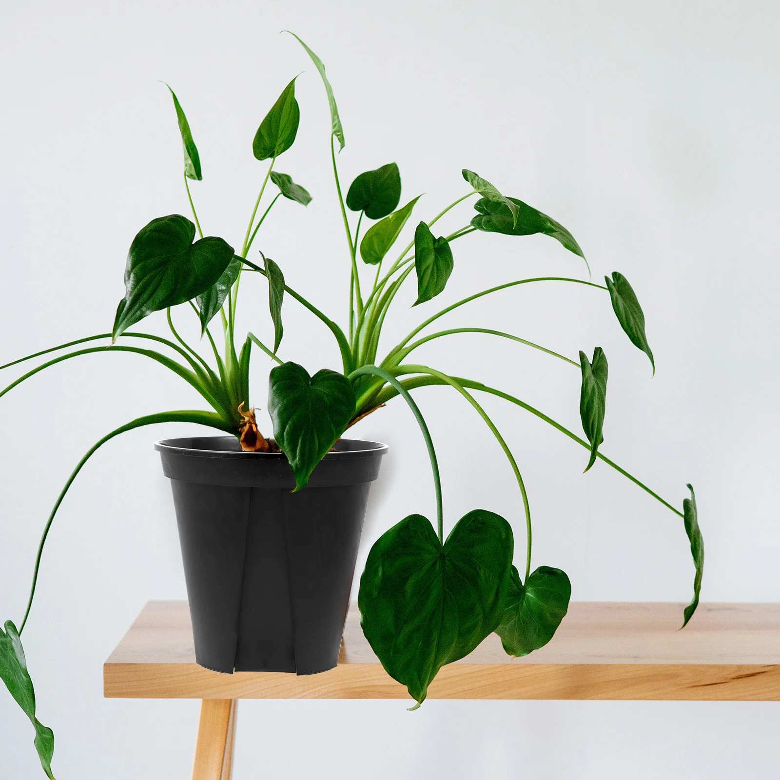 

5Pcs Plastic Control Root Flower Holders Durable Sturdy Plant Containers Home Garden Indoor Outdoor Balcony Decoration