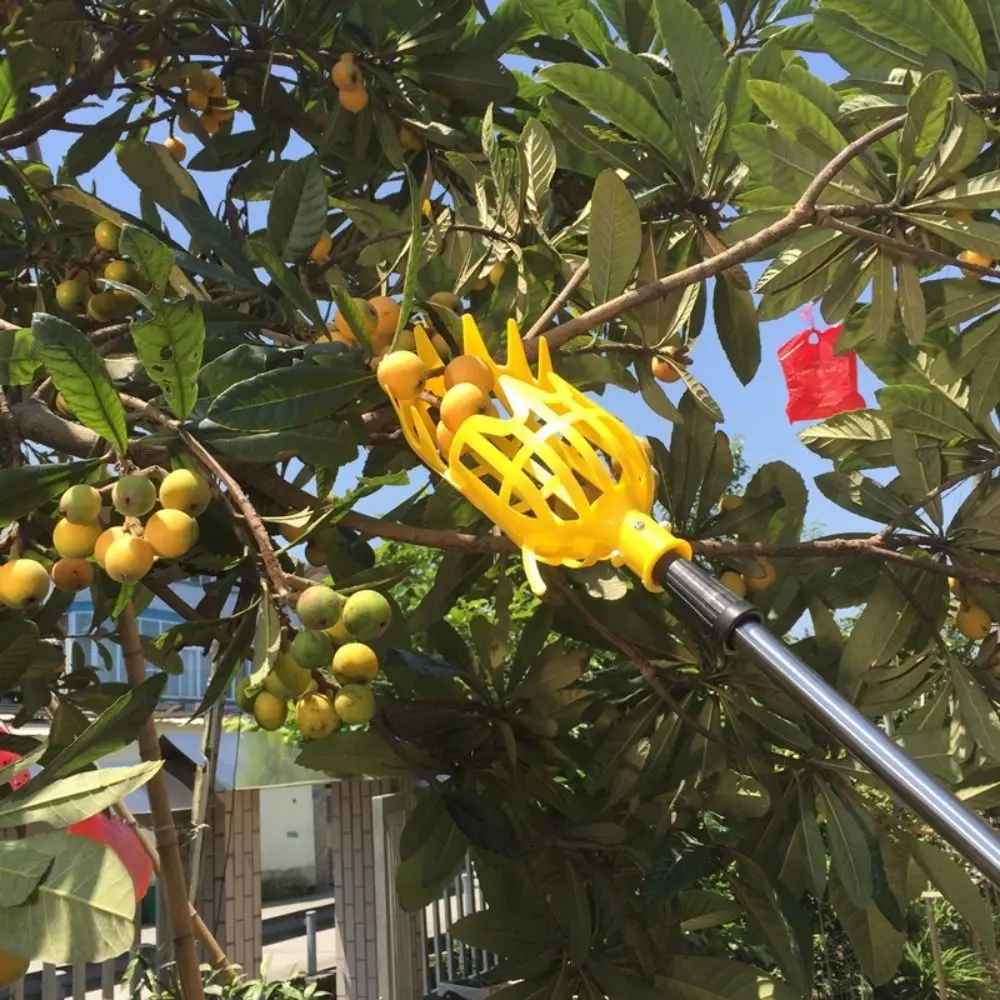 Imagem -03 - Cabeça de Picker de Frutas de Alta Altitude Plástico Agrícola Amarelo Picker Criativo Casa