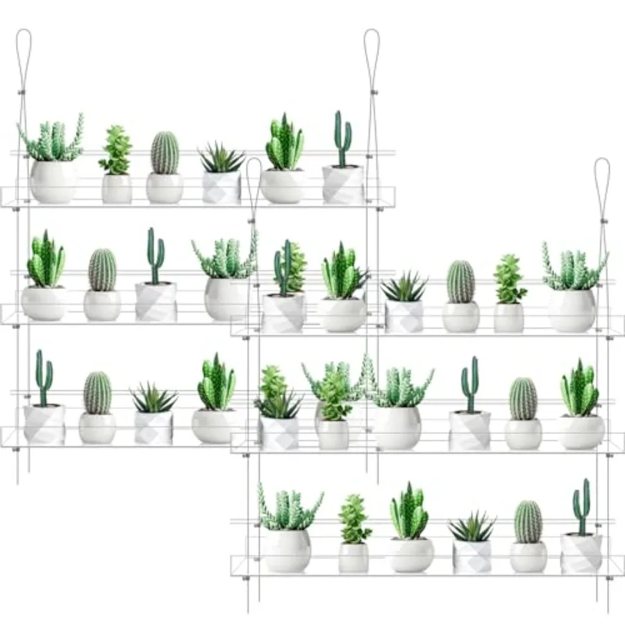

Indoor window wall garden: clear acrylic 28-inch 3-tier hanging plant shelves height adjustable for herbs succulents and flower