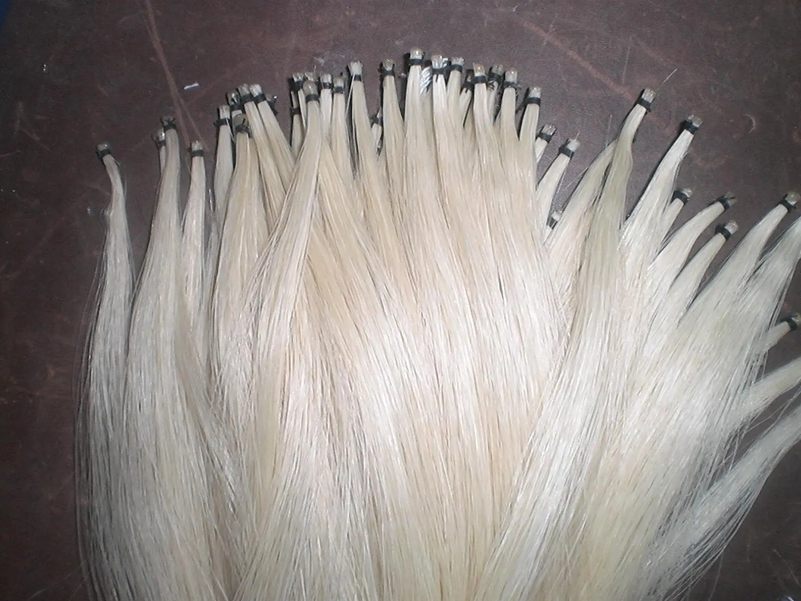 10 Hanks Quality Mongolia Stallion Bow hair 6gram/hank in 32 inches