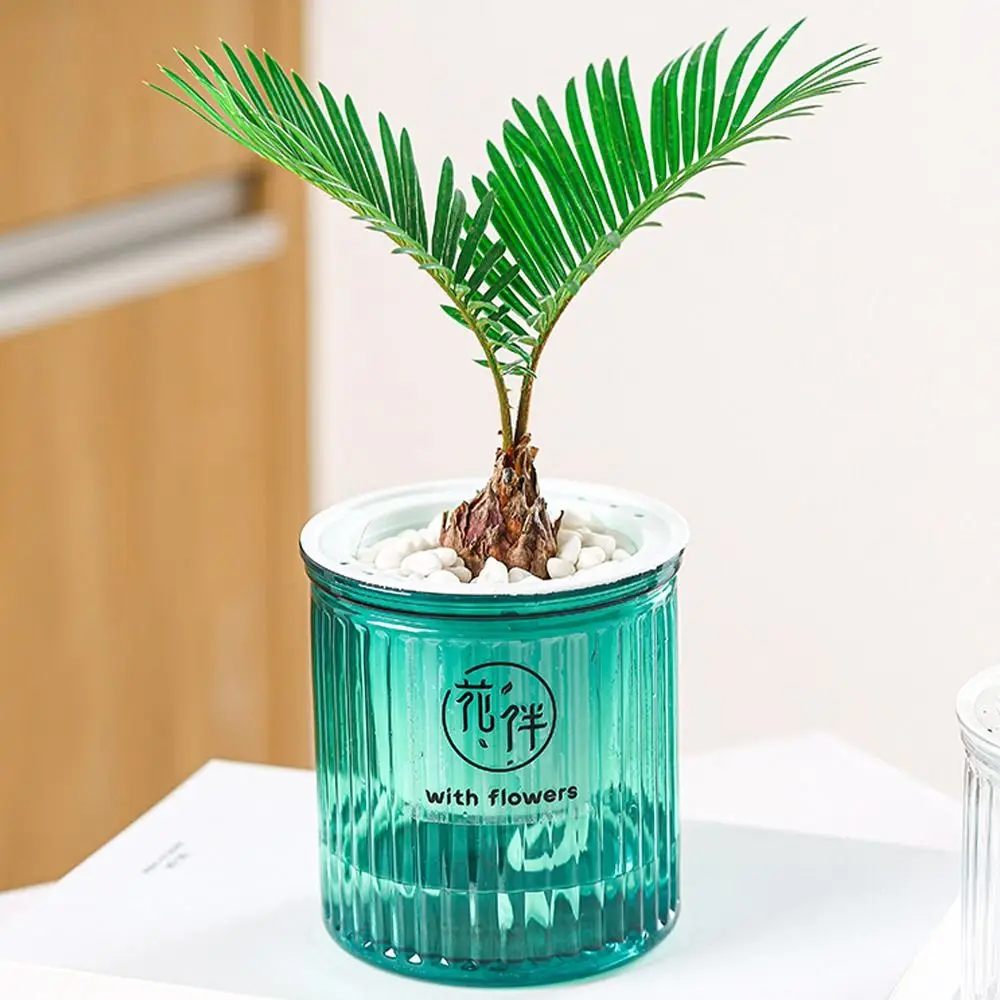 New Transparent Flower Pot Plastic Self Watering Garden Decor 2 Layer Simple Desktop Flowerpot