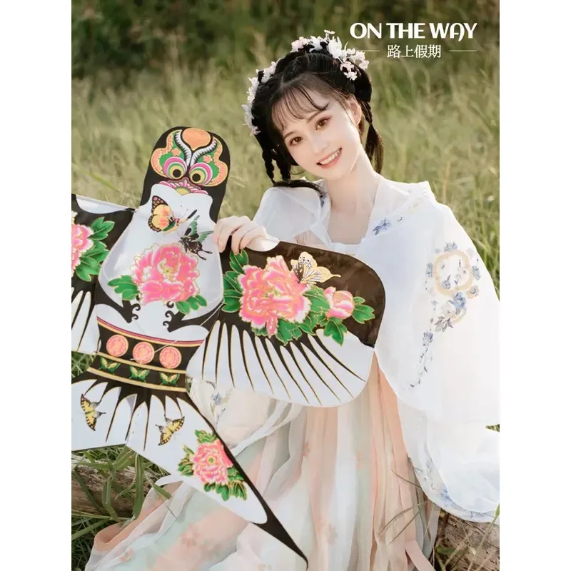 Kite pastagem kite crianças adulto engolir sem corda voar pipas guingão pendurar palco mostrar fotografia decoração diversão brinquedos esportivos