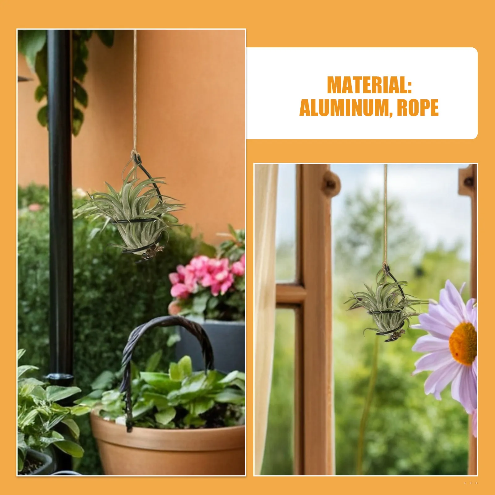 6Set Air Plant Holder Small Iron Hanging Spiral Indoor Decorative Metal Hanging Plant Display Air Plants Display