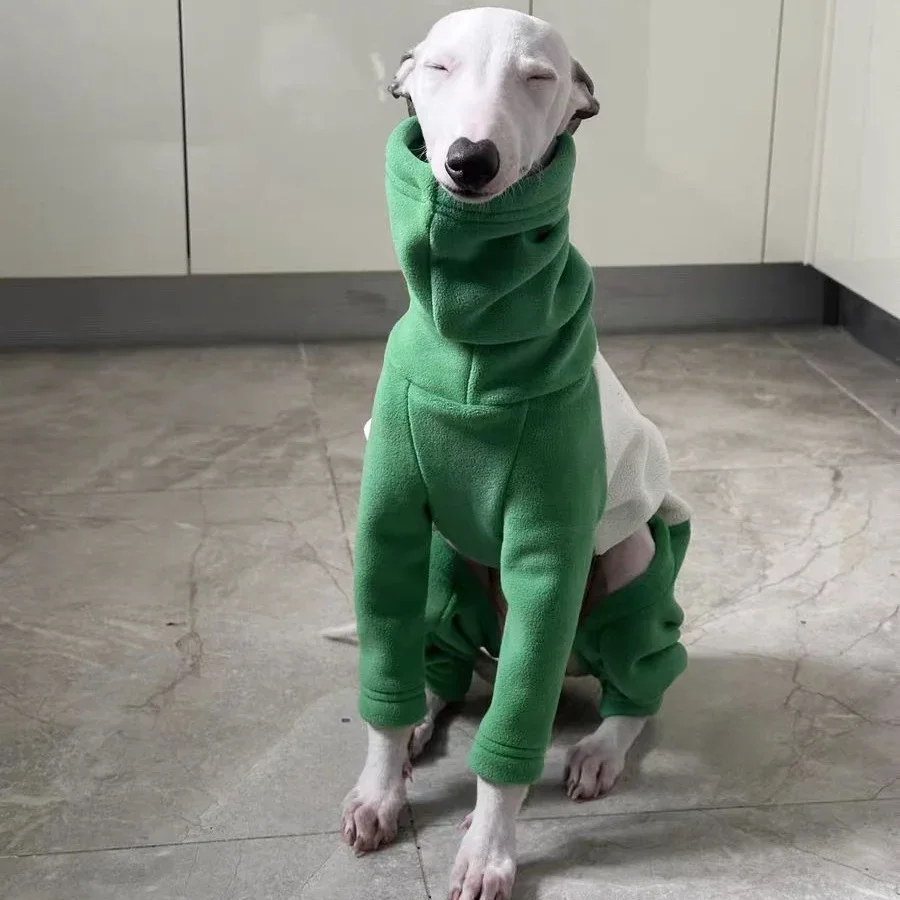 이탈리아 그레이하운드 소프트 4 다리 하이 넥 스웨터  - Winter Clothing For Dogs 리뷰 및 가격