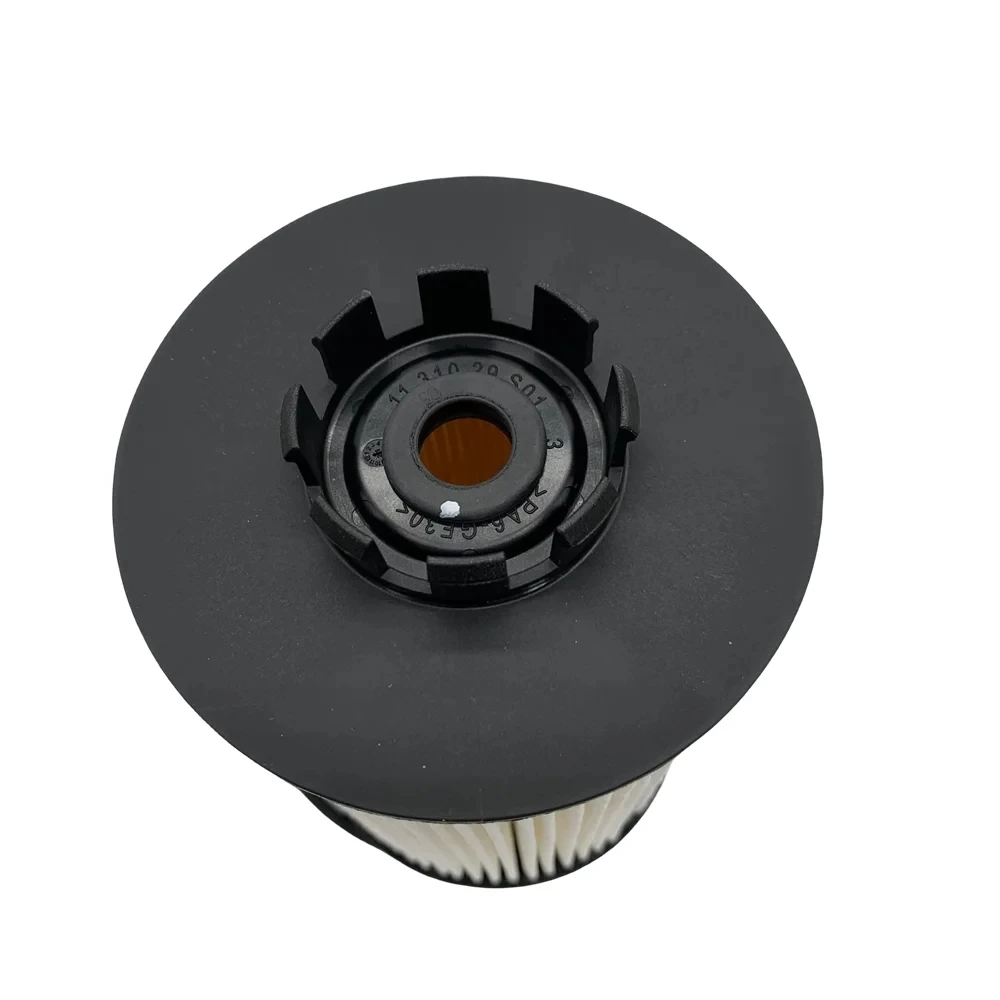 201V12503-0062 Kraftstofffilterelement für Sinotruk SITRAK/MAN/Benz-Motoren - Hochpräzise Filtration & OE-Qualität Kompatibilität – Detail 6