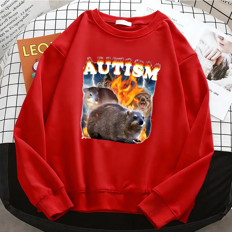 

Винтажные худи Y2K с принтом животных, базовые теплые флисовые толстовки, мягкие дышащие пуловеры с круглым вырезом, повседневная женская одежда