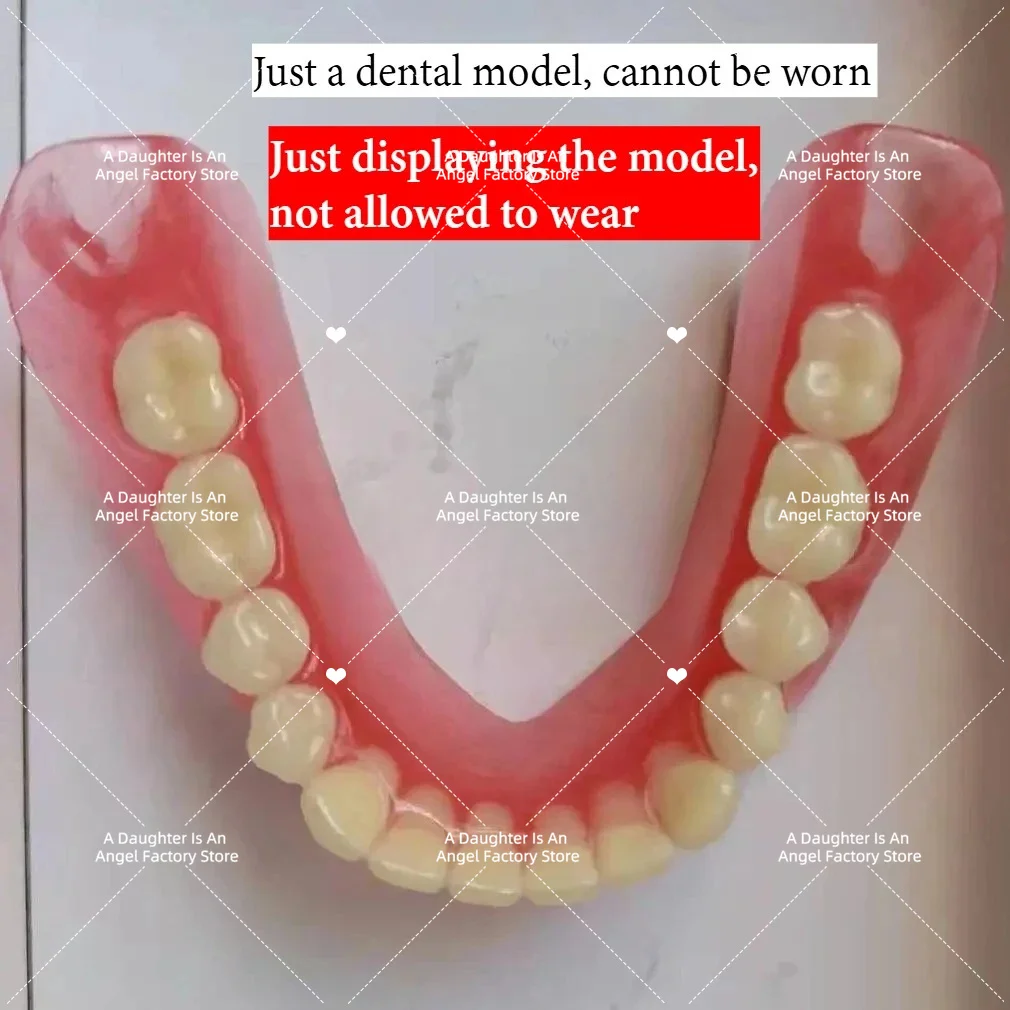Wholesale full mouth denture sample models and elderly full mouth and half mouth tooth models are available