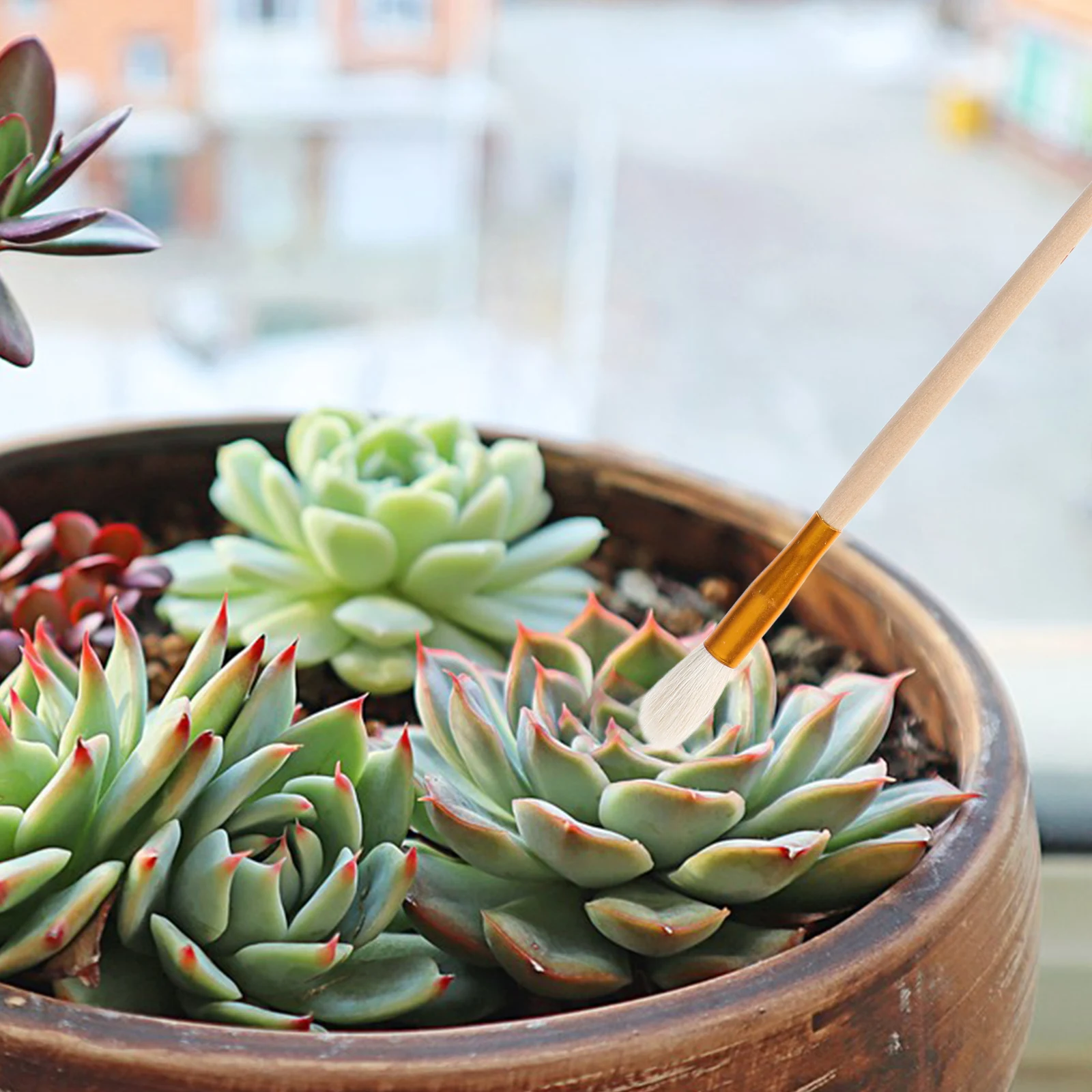 

5pcs Plant Pollinator Brush Vegetable Pollination Tool Hand Manual Sprayer Pen For Gardening Fruits Blossom Pollinator Sticks