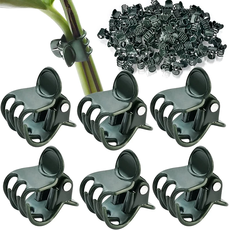 50/100PCS 6-Claw Dark Green Plant Clips Orchid Flowers Support Clamp Climbing Vine Stem Clasp Tied Bundle Branch Garden Tool