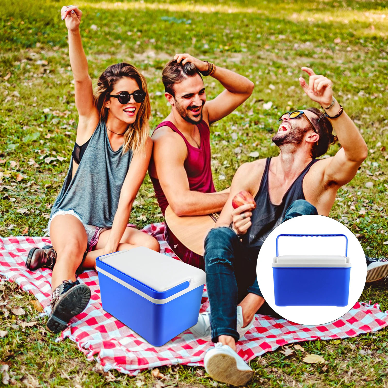 

12L Insulated Picnic Basket Cooler Box Durable PVC Material Portable Design Comfortable Handle for Outdoor Use