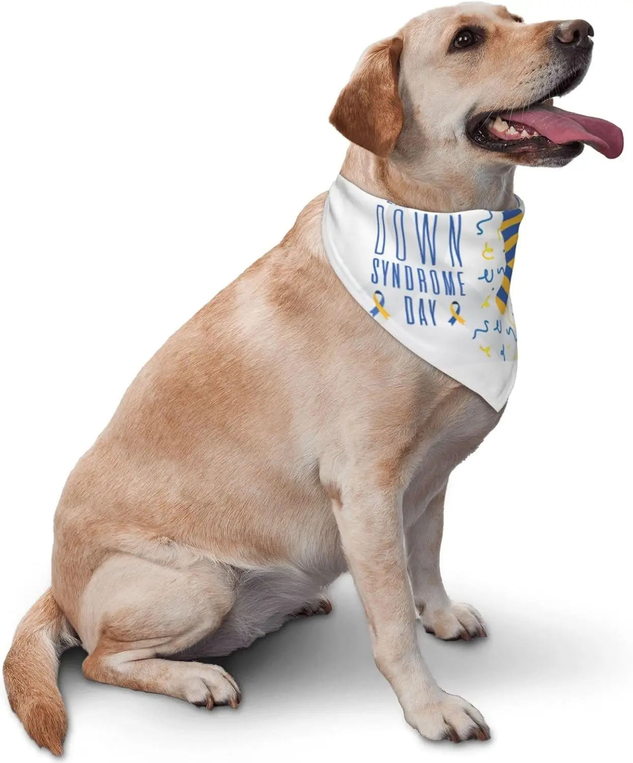 Bandana Adjustable Reversible Triangle Dog Scarf Scarves Pet Bibs Costume Accessory Decor for Cats