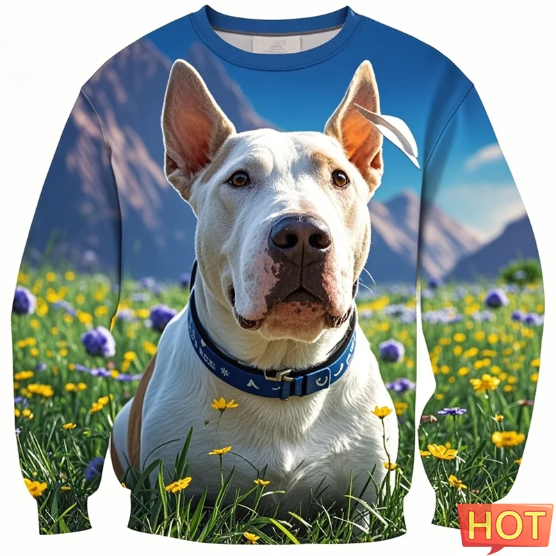 Funny Bull Terier Graphic Sweatshirts Clothes For Men 3d Printing Bulldog Harajuku Pullover For Kid Women Hoodie Sportwear Tops