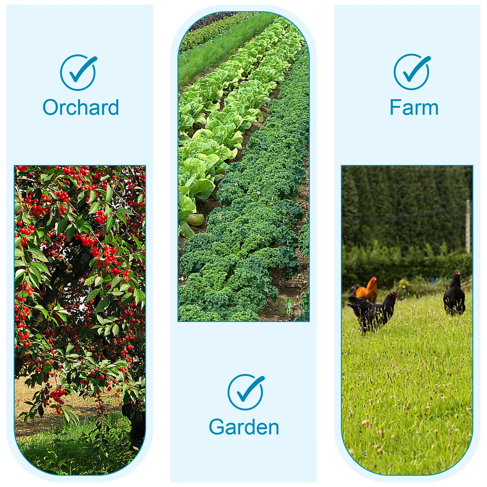 

Bird Blocking Nylon Netting Large Garden Netting for Fruit Trees Plants Vegetable Protection Mesh Net Mesh Plants Shade Cloth