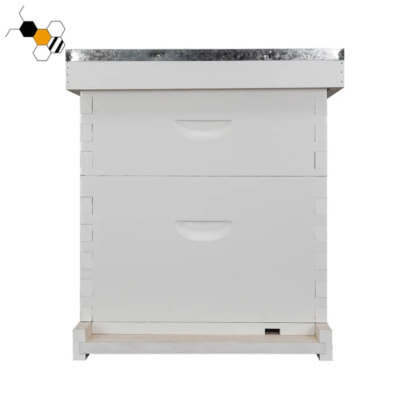 New Painted Langstroth Wooden Beehive 2 Layers 10 Frame Box With Dovetail Joint