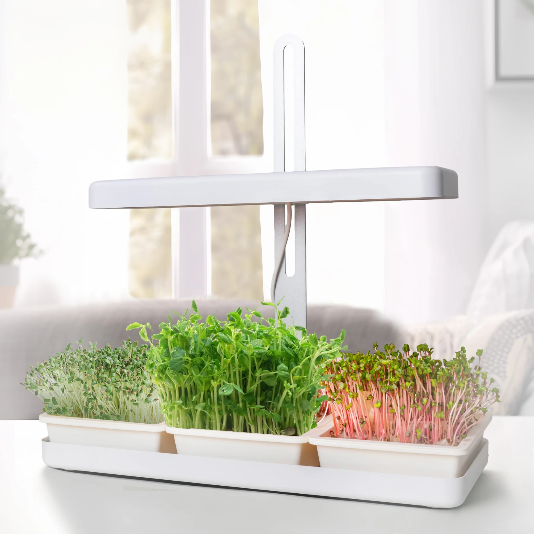 プランターLED屋内マイクログリーン栽培キット、オーガニックで健康的な栽培、自分で簡単に楽しく栽培、素晴らしいギフト、マイクログリーン水耕栽培