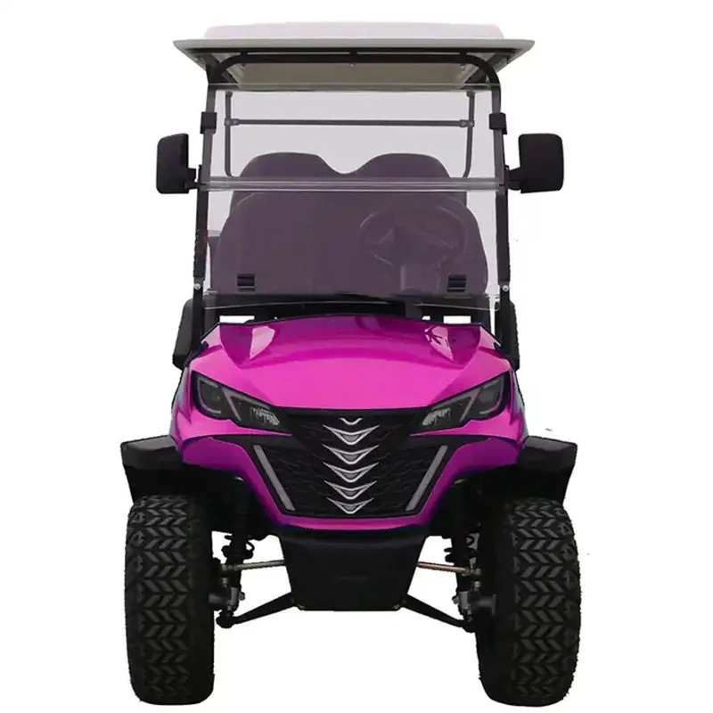 2024 High Quality Off Road Hunting Club Street Legal Utility Vehicle 4 6 Seaters China Electric Golf Cart Off Road Vehicle Price