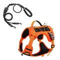 Orange 2