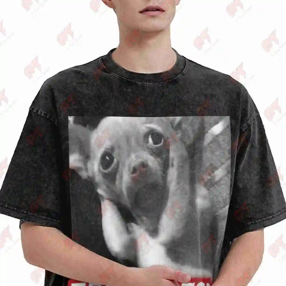 Ibuprofen Dog Meme 90S Vintage Bootleg Unhinged Cringe Vintage Washed Tee Pure Cotton T-Shirt