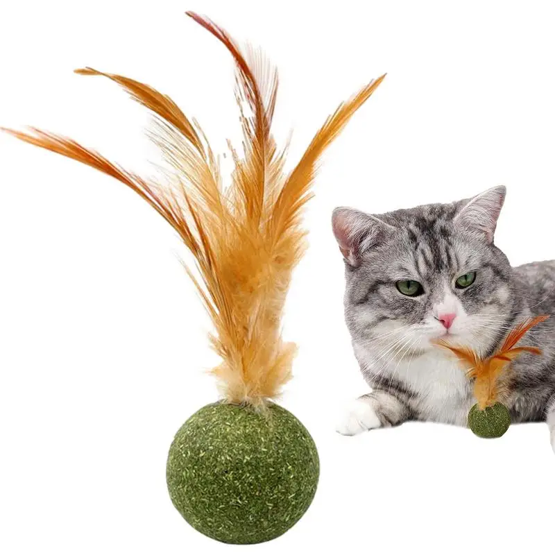 Cat Toys Catnip Kitten Catnip Feather Ball Interactive Natural Lollipop Natural Cat Kicker Feathers Design Cat Teeth Cleaning