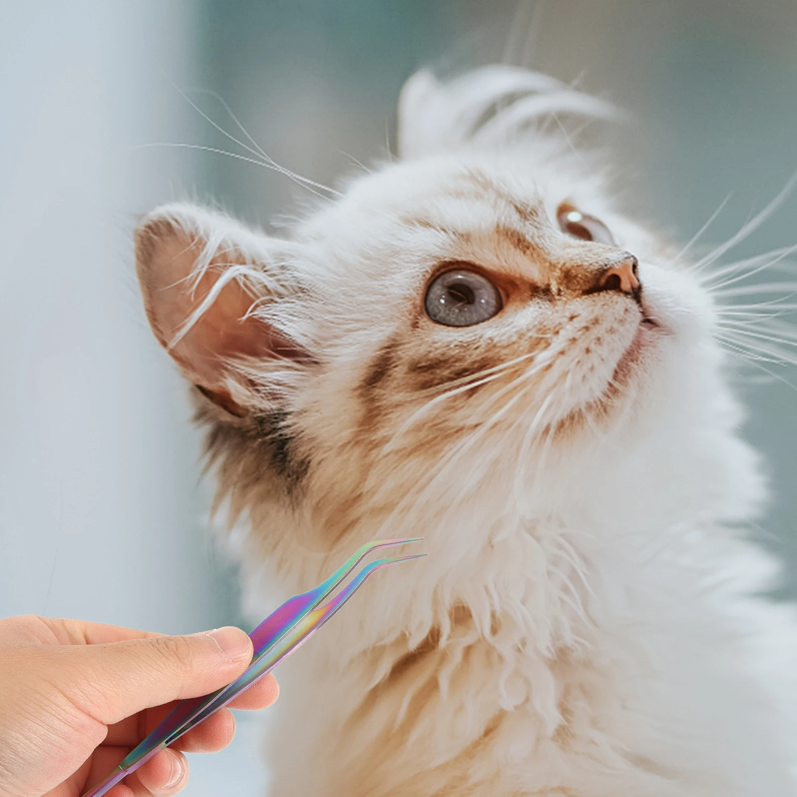 Pet Insect Removal Clip Stainless Steel Tweezers Tool Dog Flea Treatment Flea Cleaning remover for cats dogs pest