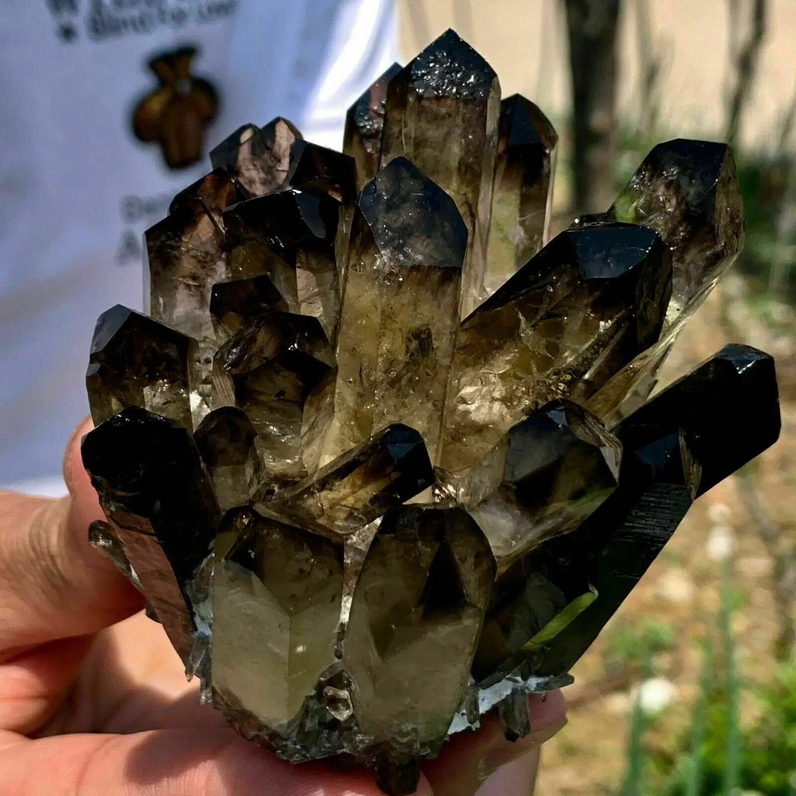 Imagem -02 - Phantom Quartz Crystal Cluster Encontrar Espécime Mineral Preto Nova Cura