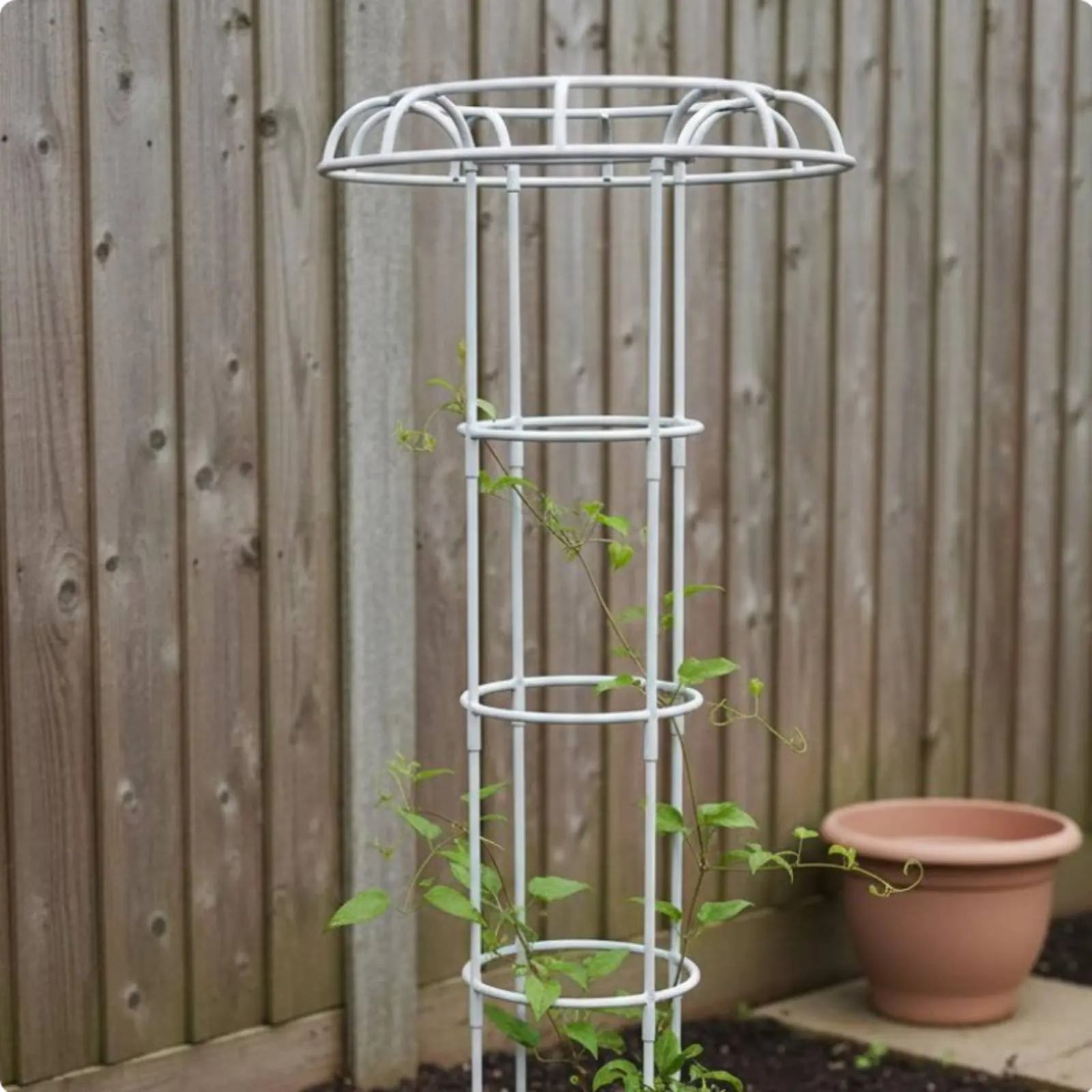 Plant Cage Weather Resistant Umbrella Plant Trellis Easy Assembly Rose Support Cage for Gardeners, Garden, Patio, Balcony
