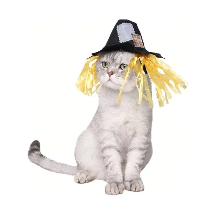 【Nuevo estilo】Disfraz de gato de Halloween, sombrero de espantapájaros para perros pequeños con peluca, conjunto de sombrero de espantapájaros con peluca para mascotas, para gatitos, cachorros, juguetes de estatua