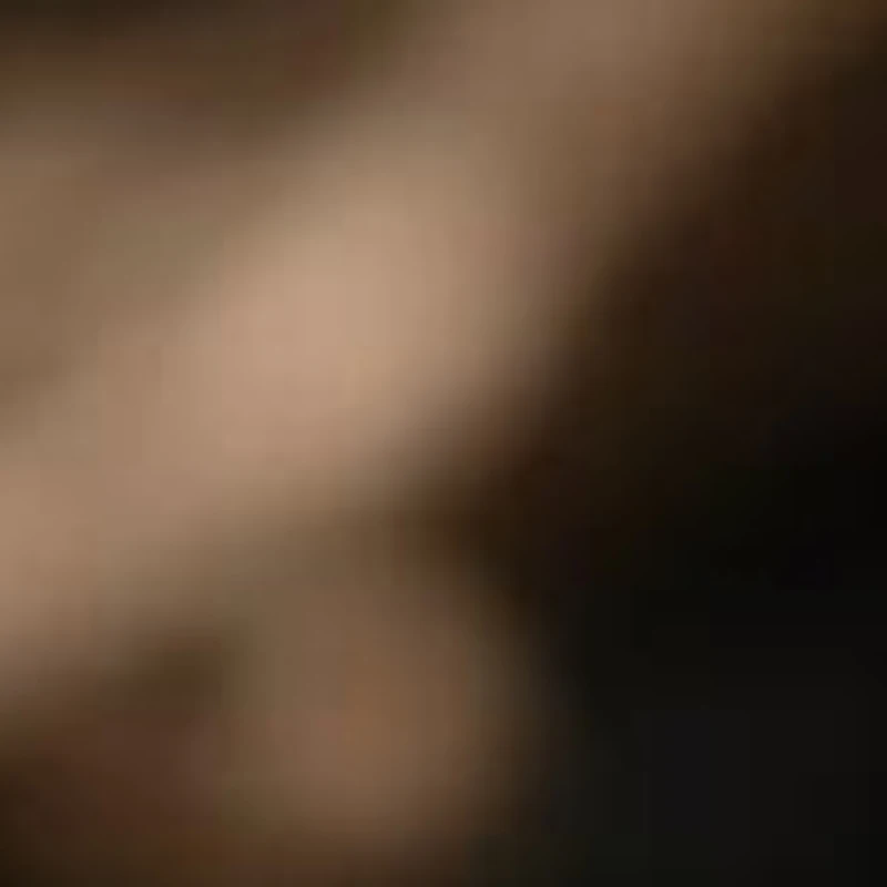 Professional Fiber …