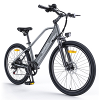 HillMiles MileTrail 1 E-Bike, 250W Motor, 100KM Range, Torque Sensor, Hydraulic Brakes, 26\