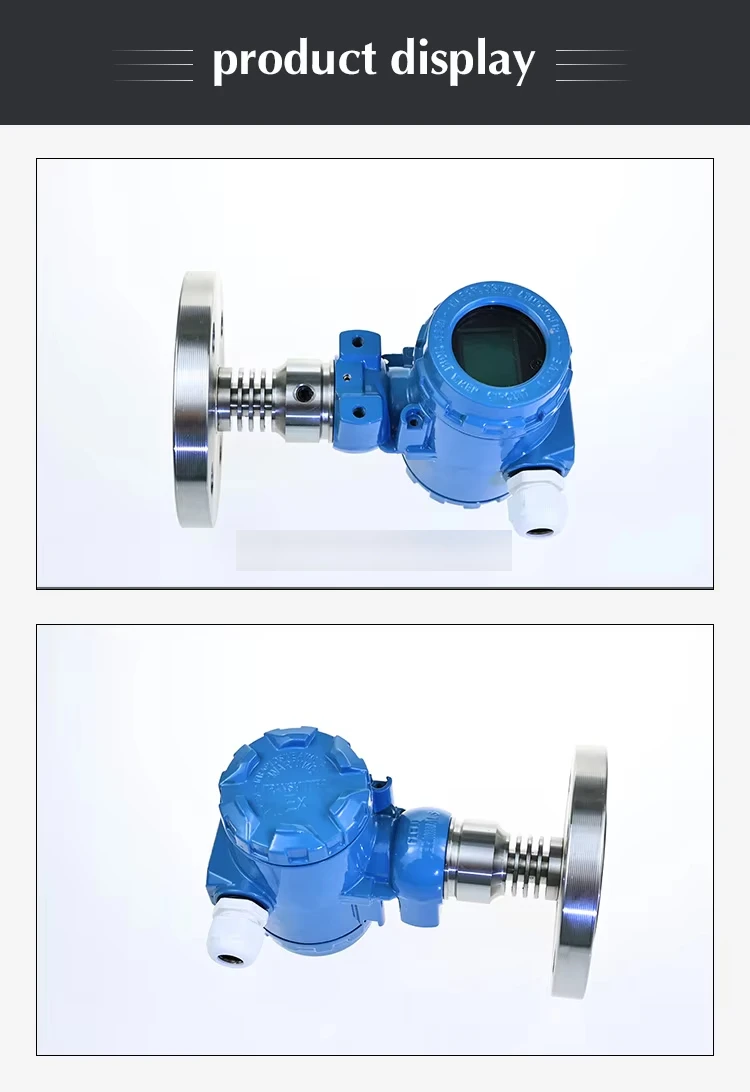 Explosion Proof Dif…