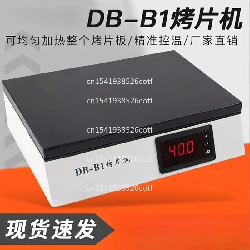 DB-B1 Laboratory Tissue Baking Machine, Biological Tissue Baking Sheet Heating Temperature Room Temperature -100 ℃