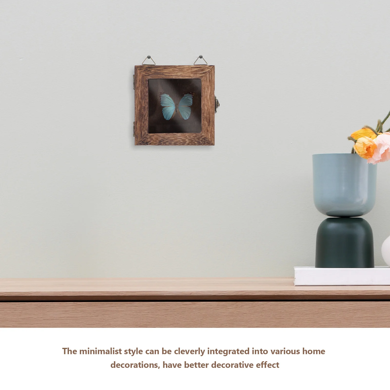 

Insect Display Box Butterfly Specimen Hanging Wall Storage Display Box Dried Flower Shadow Frame Specimen Case Decorative Frame