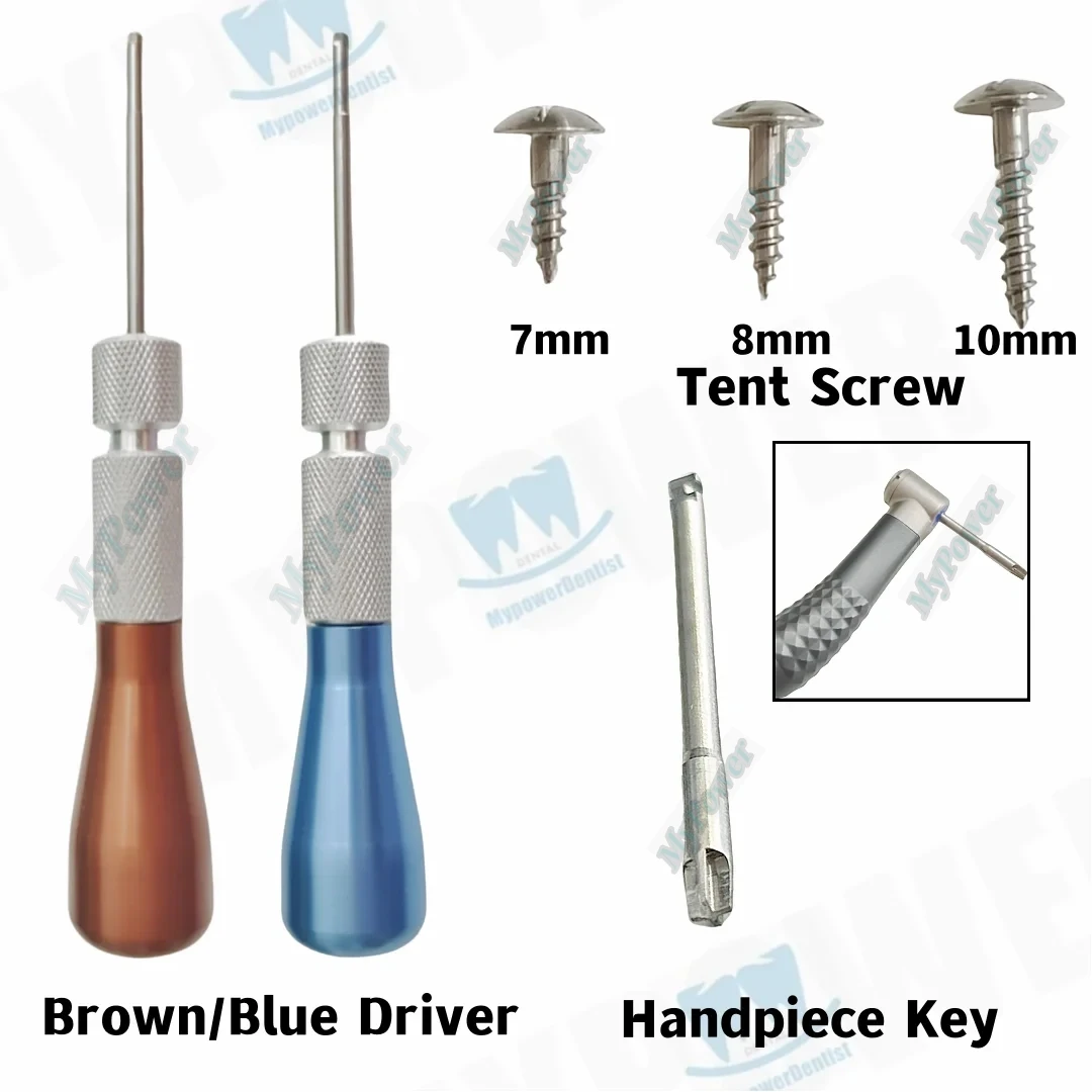 Dental Bone Tack GBR Screw Guid Bone Regeneration Membrane Tenting Pin Handpiece