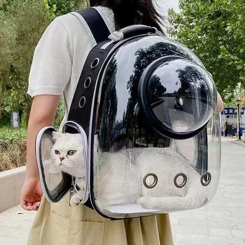 Mochila Transportadora de Animais de Estimação Transparente e Respirável para Gato, Cachorro e Filhote