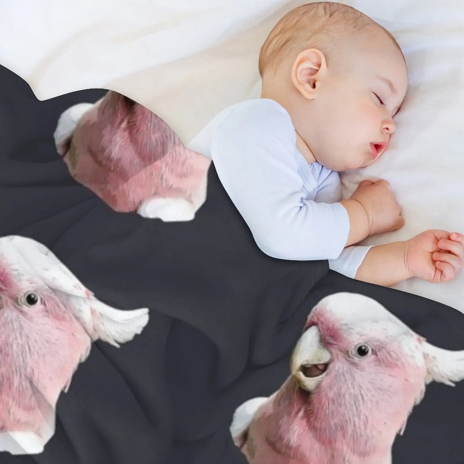 بطانية رمي ميجور ميتشل كوكاتو منقوشة على الأريكة بطانيات للأرائك بطانيات منقوشة ناعمة أرائك بطانيات الديكور