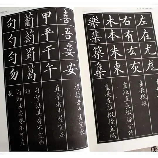 Chinese Calligraphy Encyclopedia Calligraphy Brush Character Learning Book 350 Pages Book  Libros