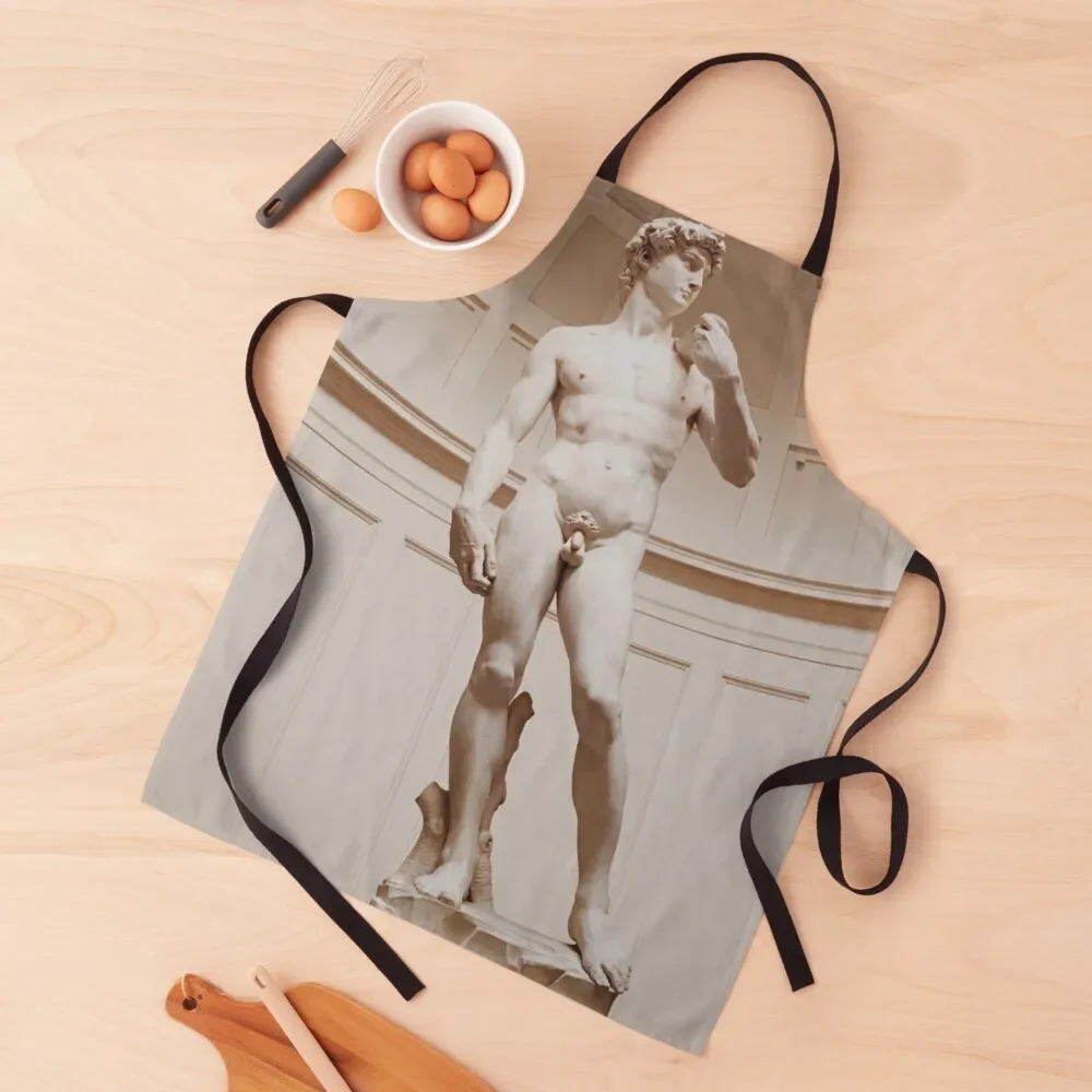 Art Sculpture David- Michael Angelo Apron kitchen woman Kitchen Kawaii Accessories cook wear Women Kitchen Apron