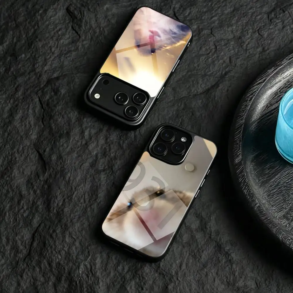 

Funny Sad Hamster Meme Phone Case Magesafe Magnetic Wireless Charge For iPhone 17 16 11 12 13 14 15 Pro ProMax Plus Mini