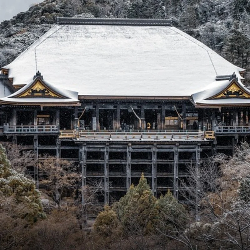 Protetor de chassi de aço inoxidável de corrida, peças de atualização, acessórios para carro crawler 1/24 rc losi micro-b buggy