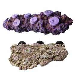 Vastocean Acquario Magnetico Coral Frag Rock Rack Holder Turtle Pier Fish Tank Lanscaping Stone