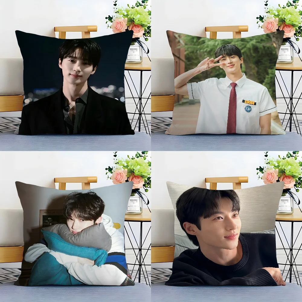 B-Byeon W-Woo-seok Korea Pillow Case Plush Fabric Soft  Pillowcase Double Sided Print Cushion Cover Household Gifts