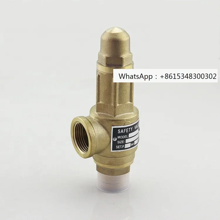 

Safety Valve,adjustable High Pressure Air Relief Valve Water Overflow Valve DN15-DN50 Thread S10 Bronze Brass Stainless Steel CE
