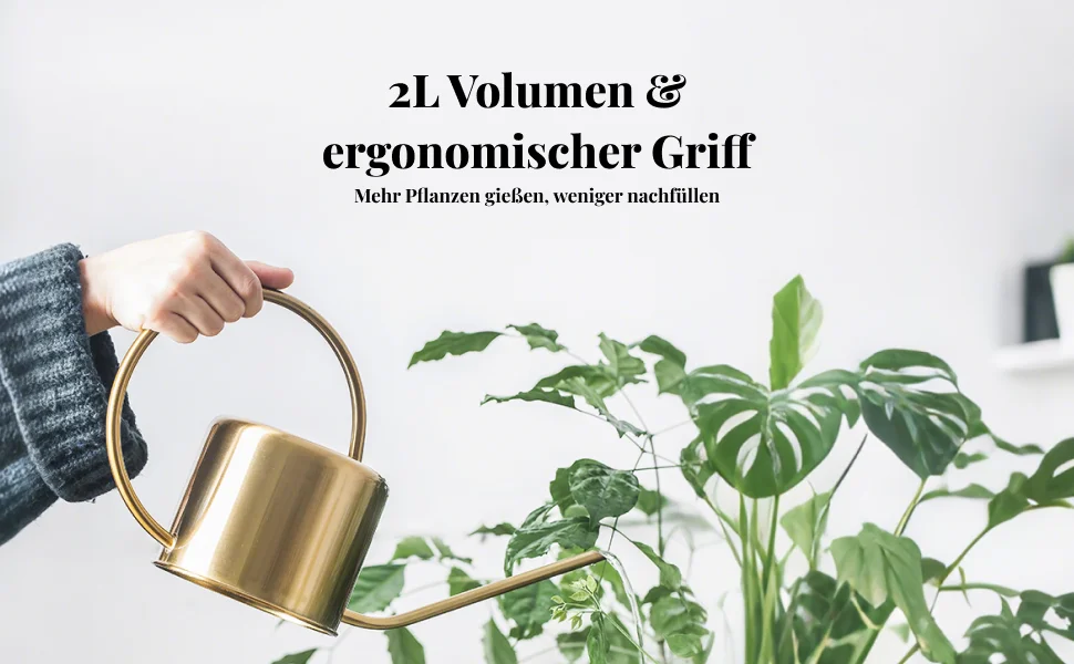 Gietkan met lange tuit van roe - Watering Can Long Spout recensie en prijs